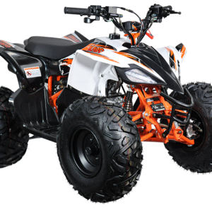 ATV AT110