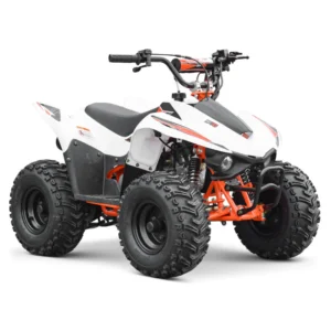ATV AY70