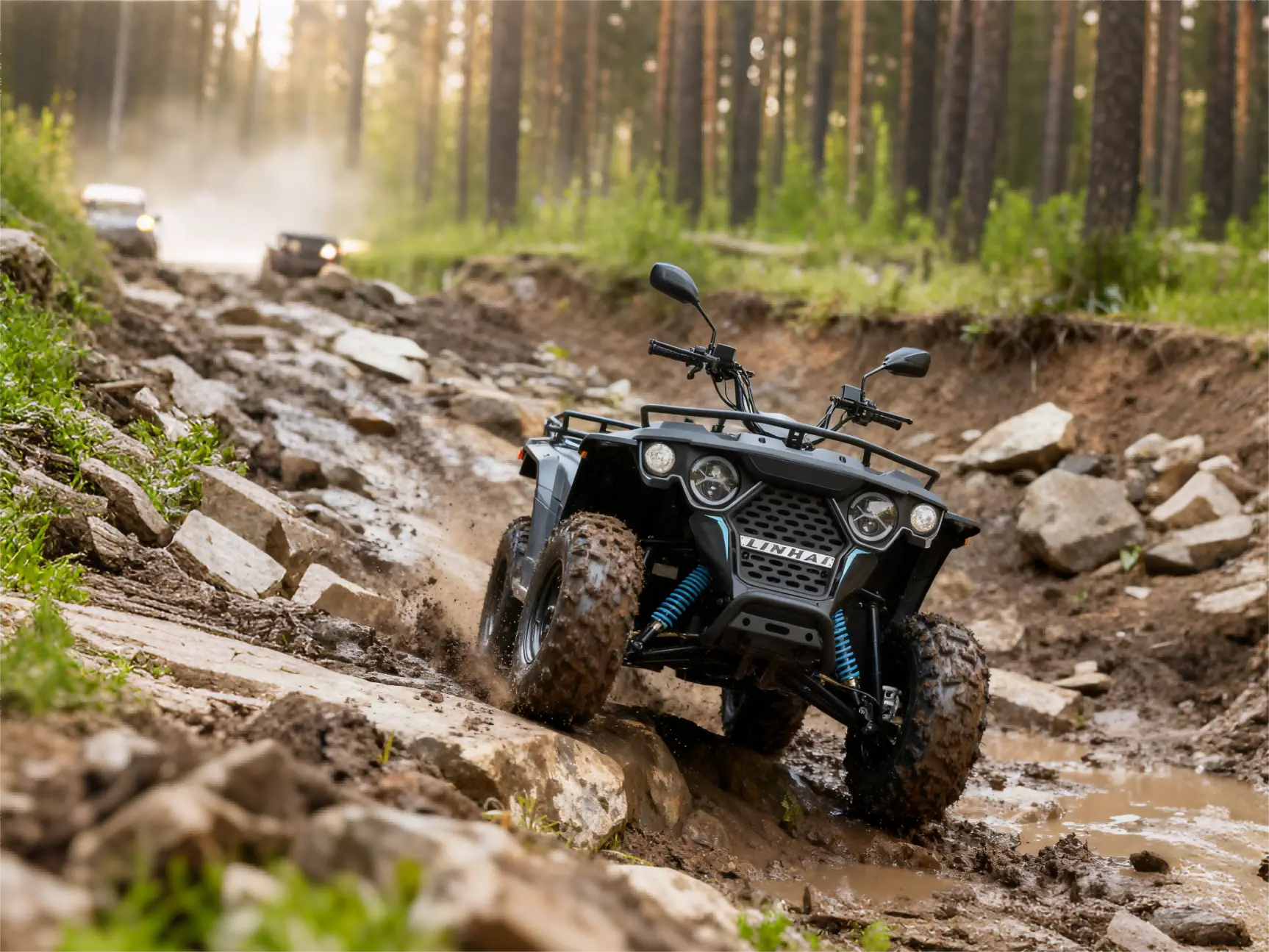 ATV M250 - Imagen 7